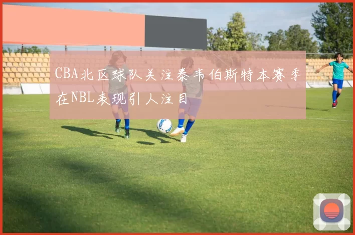 CBA北区球队关注泰韦伯斯特本赛季在NBL表现引人注目